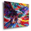 EAGL_LTD_Colour_Metal_inset