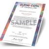 BE_LTD_Certificate_Inset_horizontal_130e9671-32e9-4128-89fd-a2e077d7f538